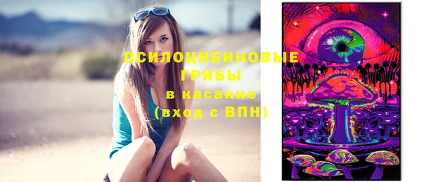 ешки Белокуриха