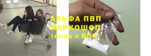 ешки Белокуриха