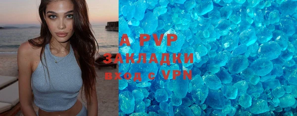 ешки Белокуриха