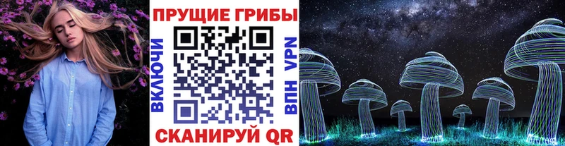 Псилоцибиновые грибы мухоморы  MEGA зеркало  Горячий Ключ 